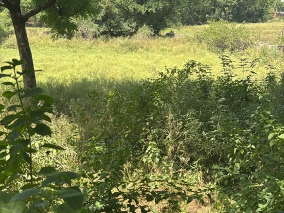 RESIDENTIAL PLOT