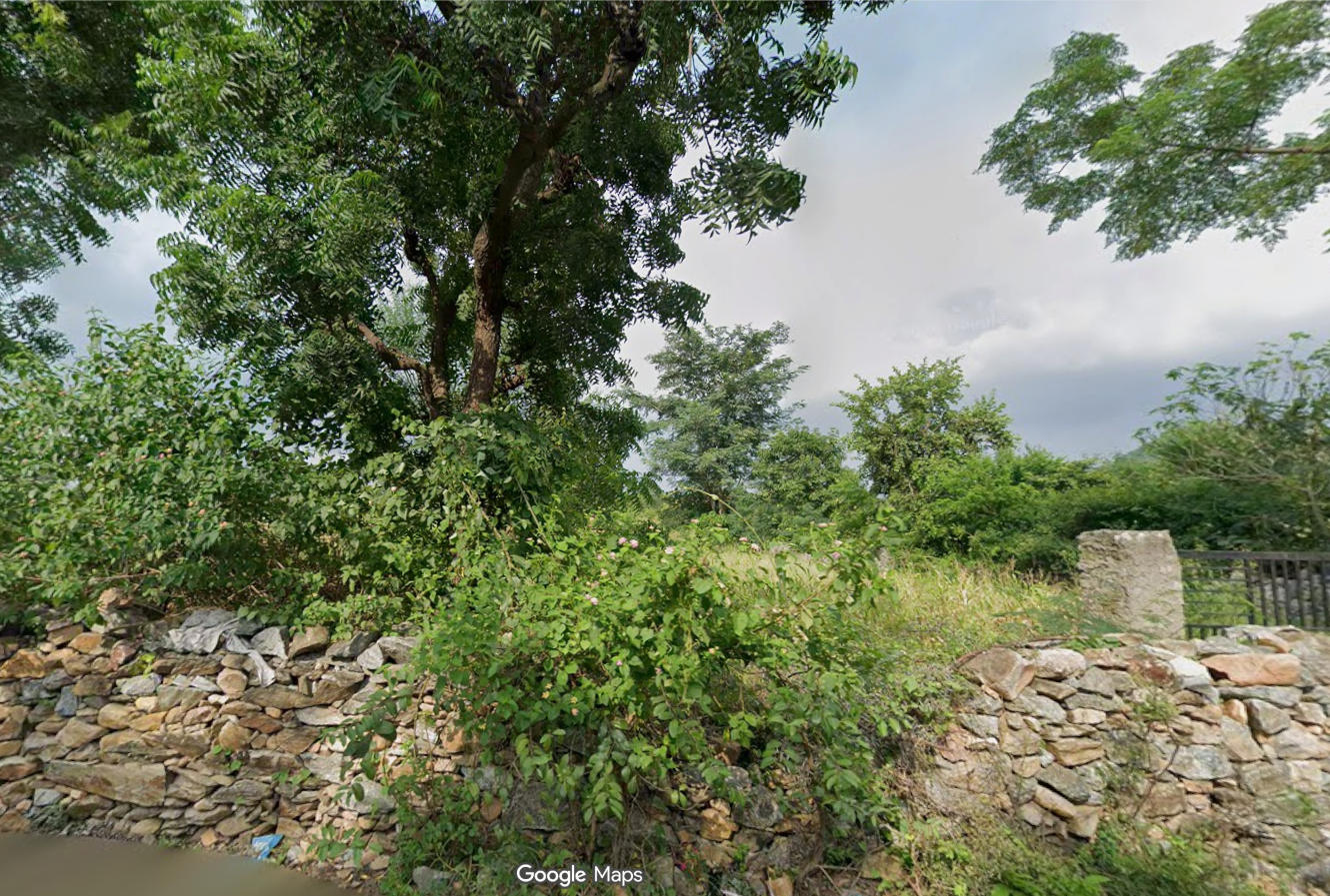 AZIZ_BADI_5001 AGRICULTRUE PLOT