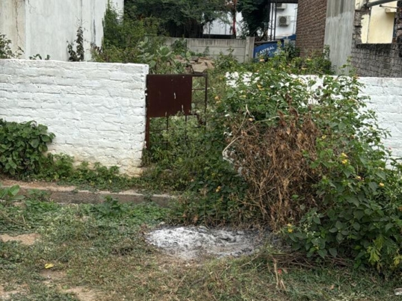 RESIDENTIAL PLOT