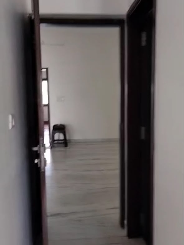 591