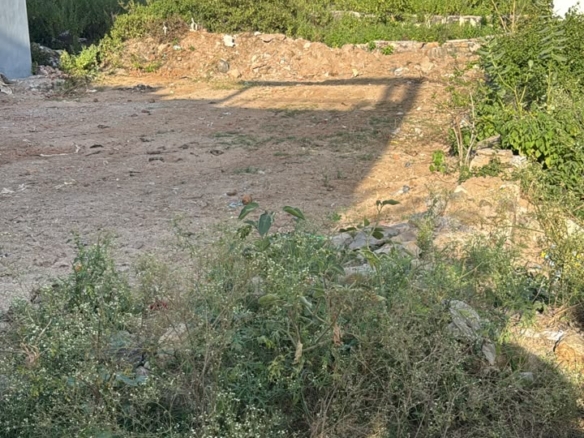 Residential Plot