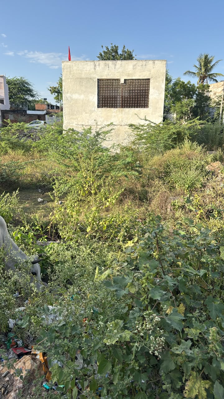 Residential Plot