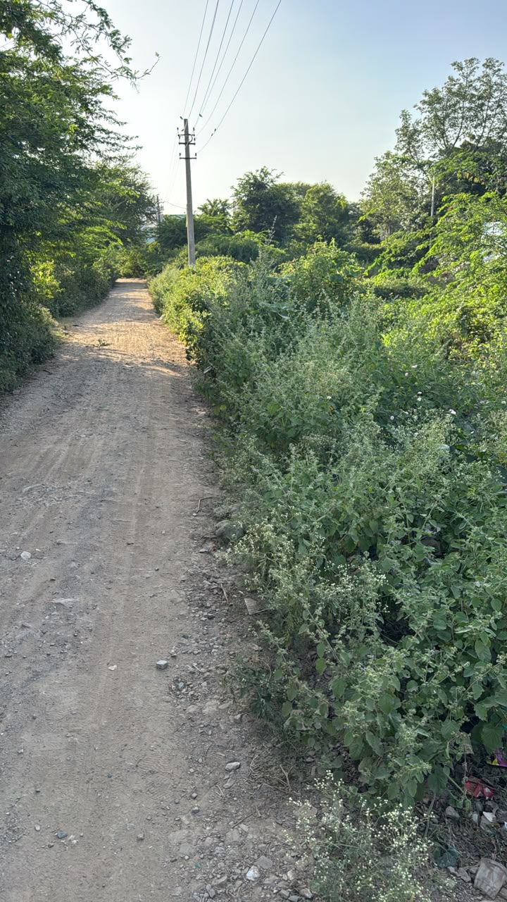 Residential Plot