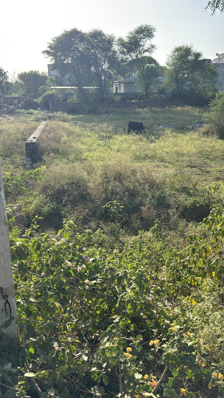 Residential Plot