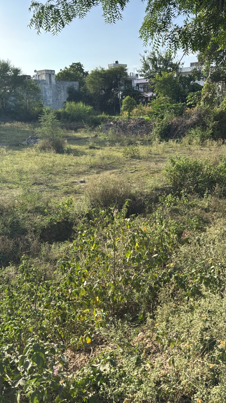 Residential Plot