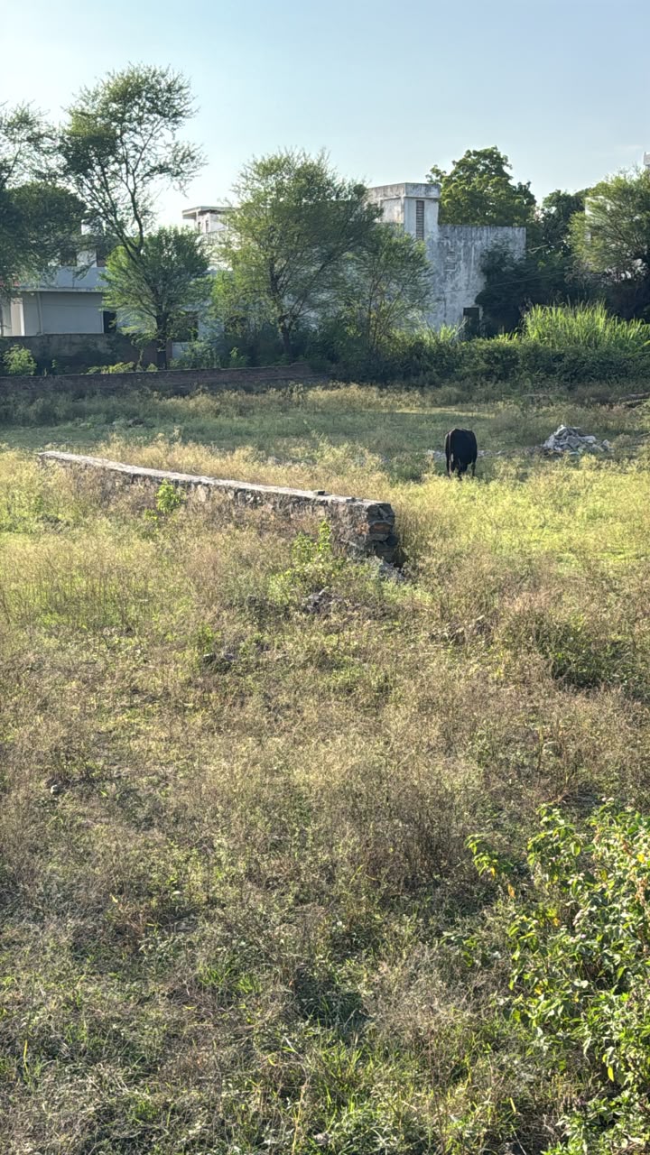 Residential Plot