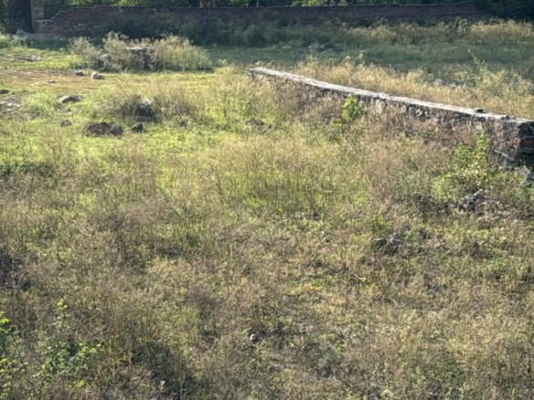 Residential Plot