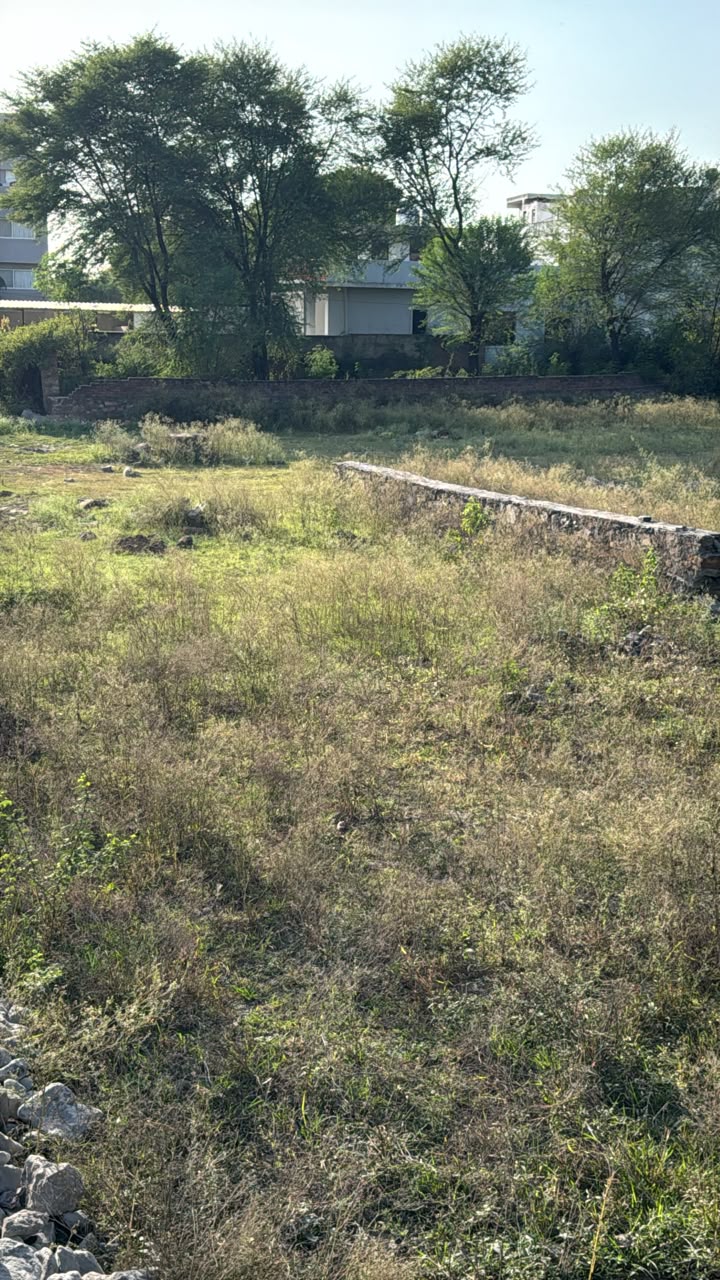 Residential Plot